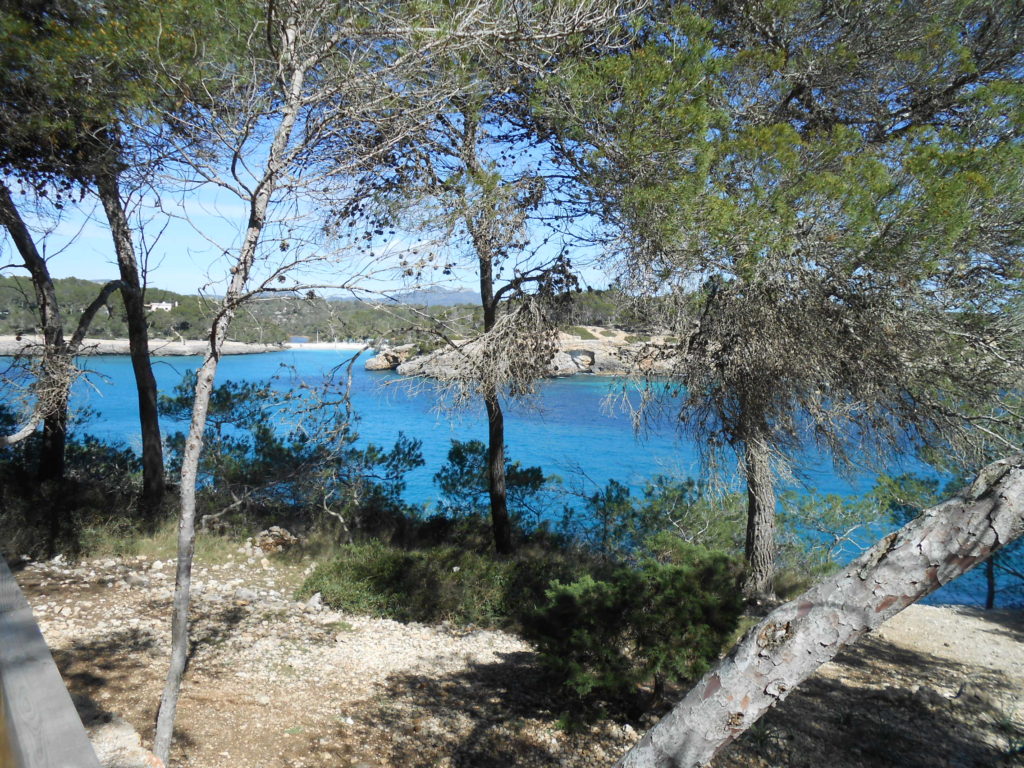 picture of Cala Mondrago