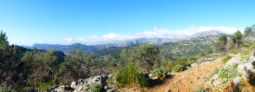 View near Calvia